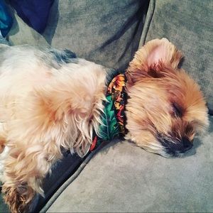 Meet your Posher, Jackie